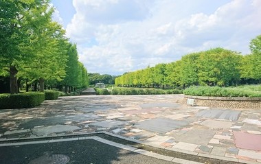 国営昭和記念公園.jpg