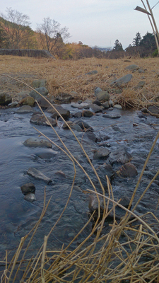 湯河原幕山公園小川1.jpg